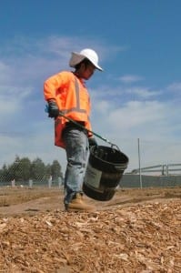 Worker picking litter